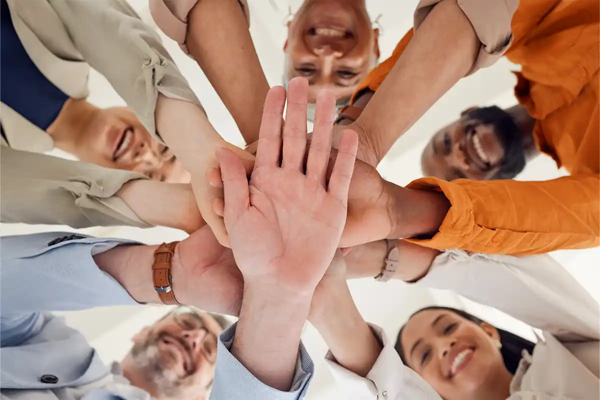 Curating the Learning Experience